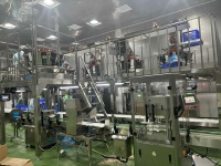Automatische Verticale Verpakking Productielijn & Vulling Afdichting Afdichting Etikettering Codering Machine Voor Voedsel Droog Fruit Snack Fabriek