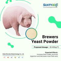Additif alimentaire inactif de haute qualité pour protéines de levure de bière pour l'alimentation des bovins et des moutons, la nutrition du bétail et de la volaille