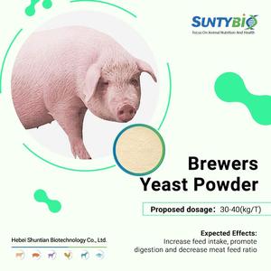 Additif alimentaire inactif <span class=keywords><strong>de</strong></span> haute qualité pour protéines <span class=keywords><strong>de</strong></span> <span class=keywords><strong>levure</strong></span> <span class=keywords><strong>de</strong></span> <span class=keywords><strong>bière</strong></span> pour l'alimentation des bovins et des moutons, la nutrition du bétail et <span class=keywords><strong>de</strong></span> la volaille - Product Image 5