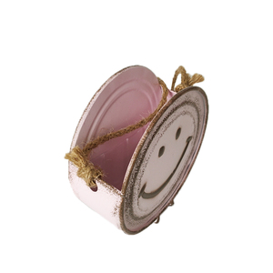 Décorations <span class=keywords><strong>de</strong></span> jardin et <span class=keywords><strong>de</strong></span> maison : Pots <span class=keywords><strong>de</strong></span> fleurs suspendus, <span class=keywords><strong>mini</strong></span>-vases mignons pour succulentes, conteneurs pour cactus, pour décorer les plantes murales <span class=keywords><strong>de</strong></span> balcon - Product Image 3