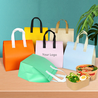Grands sacs isothermes jetables non tissés avec logo personnalisé, légers, étanches, pour aliments et boissons