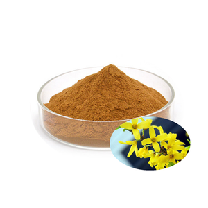 Naturel <span class=keywords><strong>Forsythia</strong></span> Fructus Extrait <span class=keywords><strong>prix</strong></span> complément alimentaire pur 2% 4% Phillyrin poudre - Product Image 1