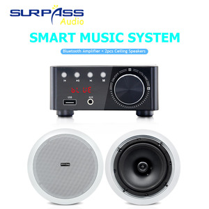 Bm100 + CR840 Công Suất Cao 50W Mini Cho <span class=keywords><strong>Bluetooth</strong></span> Khuếch Đại Với HIFI Sốt Loa Trần Kết Hợp Bộ Thu & Bộ Khuếch Đại - Product Image 2