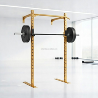 Rig mural personnalisé pour tractions, équipement d'entraînement de force