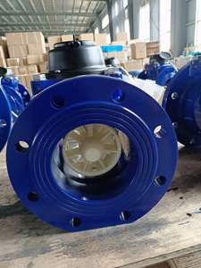 Medidor de agua fría/caliente, elemento extraíble, ISO9001 DN125 - Product Image 2