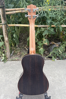 Ukulele Aiersi en Ébène Java, Fabrication OEM/ODM, Instrument à Cordes de Haute Qualité Fabriqué en Chine pour les Amateurs de Musique