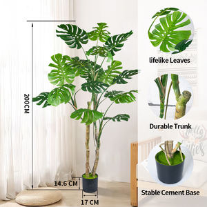 <span class=keywords><strong>Plante</strong></span> artificielle décorative d'intérieur en pot de <span class=keywords><strong>Monstera</strong></span> Bonsai Tree panaché Deliciosa pour un design élégant - Product Image 4