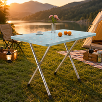 Table à manger rectangulaire pliante bleu clair à motifs floraux, avec pieds en acier inoxydable en forme de X, plateau imperméable