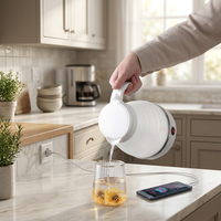 Bouilloire électrique portable en acier inoxydable avec arrêt automatique, capacité de 0,6 L, design pliable et compact pour une utilisation domestique et en extérieur