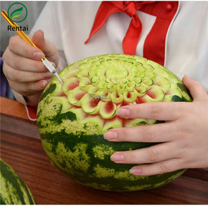 एल्यूमीनियम स्केल्पल चाकू उपकरण किट कटर कला शौक चाकू उत्कीर्णन क्राफ्टिंग गंभीर चाकू - Product Image 5