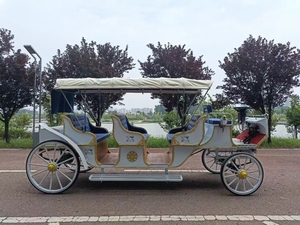 Vehículo Eléctrico de Lujo Europeo 2024, Tipo Carruaje Real, de Fibra de Vidrio, para Turismo y Recreación al Aire Libre - Product Image 4