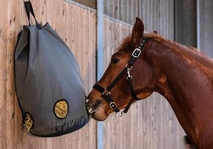 Échantillon gratuit Vente en gros Sac à foin rond en tissu polyester confortable et lent Sac d'emballage en filet pour cheval Alimentation lente pour économiser le foin Bonne santé - Product Image 3