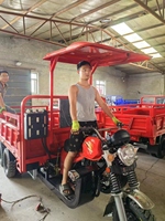 Vente en gros de tricycle motorisé 9 roues 350CC refroidi par eau cargo tuk moto tricycle motorisé à grande puissance
