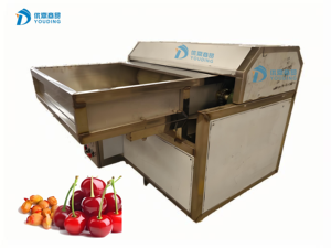 Machine à dénoyaouter automatique multifonctionnelle pour cerises, dattes et cerises aigres - Product Image 2