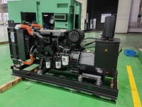 Générateur diesel de secours commercial 180 kW avec ATS et contrôle automatique pour l'alimentation de secours des hôtels et centres commerciaux