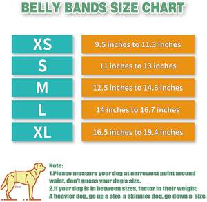 2024 नए नर कुत्ते डायपर पालतू शारीरिक पट्टा लपेटें पुन: प्रयोज्य सौजन्य बड़े कुत्ते घर सौजन्य पैंट बेली बैंड थोक - Product Image 4