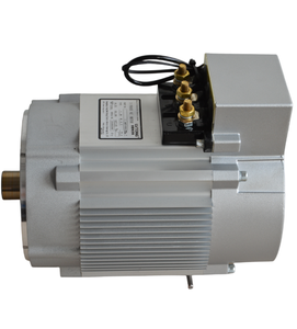 Motor de CA trifásico de 48V 3KW para trabajo de carrito de golf eléctrico para carrito de golf Lvtong - Product Image 2