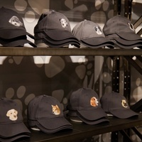 Gorra de Béisbol Personalizada con Bordado, Gorra Trucker Ajustable, Logotipo Bordado, Diseño Impreso, Venta al Por Mayor