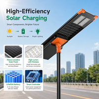 Lampadaire solaire extérieur en aluminium de haute qualité, réglable, alimenté par LiFePO4, 40W 60W 80W 100W 120W 150W