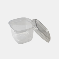 Emballage jetable écologique de qualité Sulide 16oz 500ml pp personnalisé tasse à dessert en plastique carrée avec couvercle