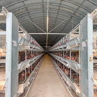 Système de cages en H à prix d'usine pour l'élevage de volailles en Indonésie, au Vietnam et aux Philippines