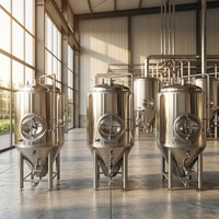 Système de Fermentation en Acier Inoxydable Microcerveceria 500L 1000L pour Brasserie Artisanale