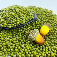 Vente en gros de pousses de haricot mungo et de haricots verts séchés de qualité supérieure, emballage en vrac de 25 kg pour usage alimentaire à prix compétitif