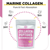 Poudre de collagène marin bio à la myrtille Chinaherbs, halal, multi-collagène, vitamine C, complément beauté éclaircissant pour la peau