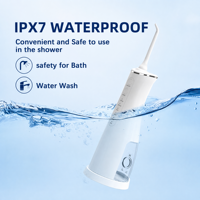 Tragbares Haushalts gerät 250ml Wasser flosser Batterie betriebenes Zahn reinigungs gerät