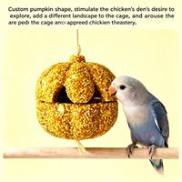 Friandise naturelle pour oiseaux Quanying : Biscuits croustillants aux graines de citrouille avec crochet de suspension pour Halloween, pour calopsites, perruches et autres oiseaux.