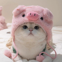Costume de chat mignon avec chapeau, vêtements pour animaux de compagnie en coton et fausse fourrure, manteau d'été, pyjama, chapeau pour chat, pull en polaire chaud