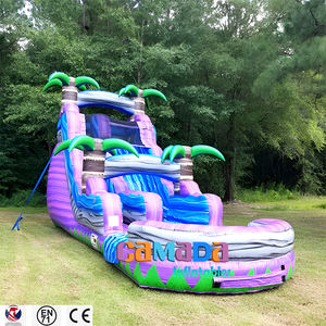 Toboggan aquatique gonflable très demandé pour usage résidentiel et extérieur, avec taille et couleur personnalisables - Excellent prix - Product Image 3