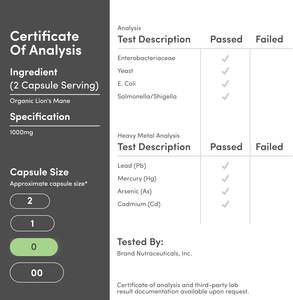 Complément alimentaire en poudre de champignon crinière de <span class=keywords><strong>lion</strong></span> (Hericium Erinaceus) biologique en capsules pour la concentration cérébrale, la mémoire, le soutien cognitif et le bien-être quotidien - Product Image 4