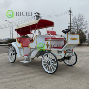 शहर के चौराहों में दर्शनीय स्थलों के लिए भव्य और व्यावहारिक दर्शनीय स्थलों की गाड़ी - Product Image 5