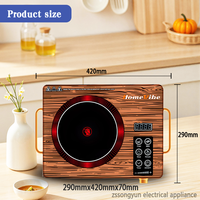 Cuisinière électrique infrarouge, plaque chauffante en céramique électrique, cuisinière à induction portable, four électrique, cuisinière électrique