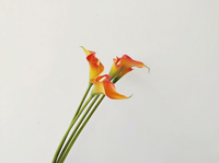 Bunga Calla Lily Putih Buatan Pabrik Langsung, Taro Guanyin Lotus, Model Cetakan Injeksi, Rangkaian Bunga Linear untuk Ruangan