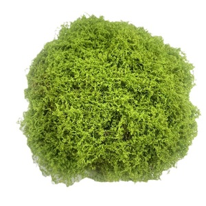 8 Piezas de <span class=keywords><strong>Musgo</strong></span> <span class=keywords><strong>Artificial</strong></span> para Decoración de Micro Paisajes y Bonsáis, Follaje <span class=keywords><strong>Artificial</strong></span> Realista - Product Image 5