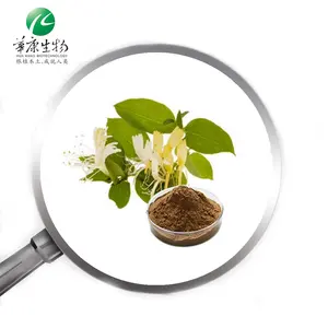 20%-98% Honey suckle Extract Lonicera Japonica Flower Extract Chlorogenic acids Powder