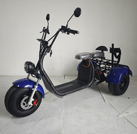 Scooter Eléctrico EEC de 2000W, 60v20ah, con GPS, Tres Ruedas, Tipo Harley, Neumáticos Anchos, para Adultos, Carrito de Golf