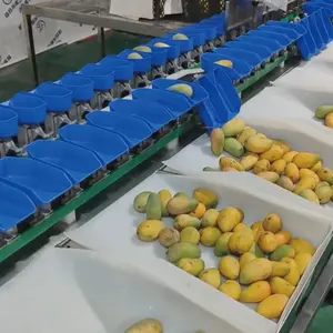 New Design Fruit Weight Grading Sorting Machine/mango Grading Machine/avocado Grading Machine