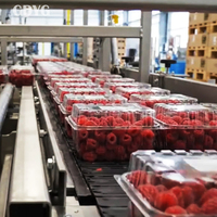 Stabiele wereldwijde distributeur van fruitproducten, op maat verpakte, lang houdbare IQF diepvriesframbozen van hoge kwaliteit, hele IQF diepvriesframbozen