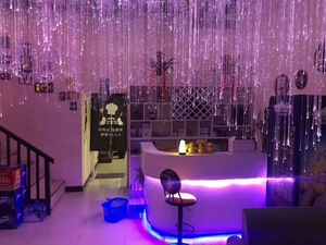 El modelo más nuevo RGB que cambia de Color LED fibra óptica cortina de luz de Navidad para Hotel KTV bares habitaciones interiores plástico duradero IP67 - Product Image 6