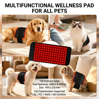 Tapis de luminothérapie rouge OEM pour animaux de compagnie avec soulagement de la douleur pour le corps et les mains 660nm/850nm, usage domestique et commercial