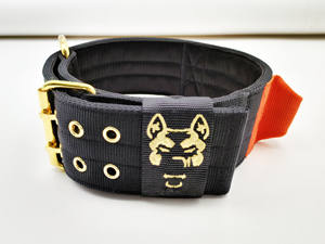 Collare per Cani di Grossa Taglia Largo 7,6 cm in Nylon con Fibbia in Acciaio Inossidabile Color Oro Ricamo Maniglia di Controllo Addestramento Pitbull Robusto - Product Image 3