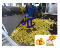 Ligne de production de frites entièrement automatique 150-2000 kg/h-Machine de fabrication de frites et croustilles surgelées à prix compétitif