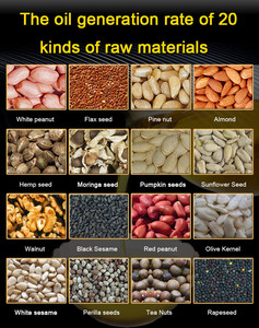 Machine <span class=keywords><strong>de</strong></span> pressage à froid et à chaud automatique en acier inoxydable pour huiles végétales (cacao, avocat, noix <span class=keywords><strong>de</strong></span> coco, arachide, sésame) – Capacité 5-7 kg/h - Product Image 5