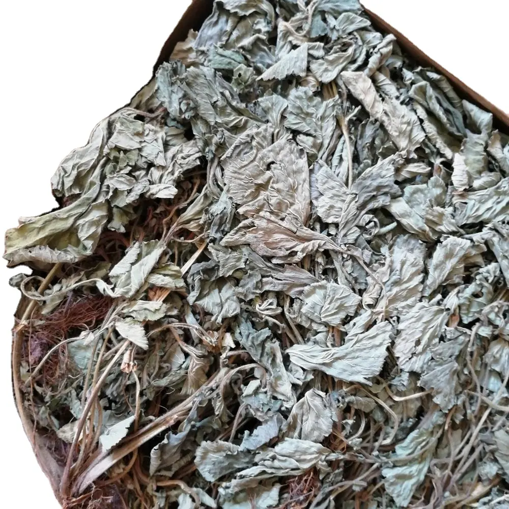Lan bu zheng Traditional health tea dried Geum japonicum stems and leaves