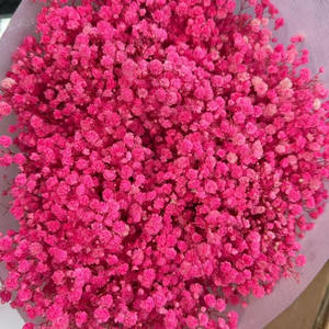 Bouquet di Fiori Secchi di Gypsophila, Piante Naturali Conservate per Matrimoni, Feste, Decorazioni Fai-da-Te in Stile Boho per la Casa - Product Image 5
