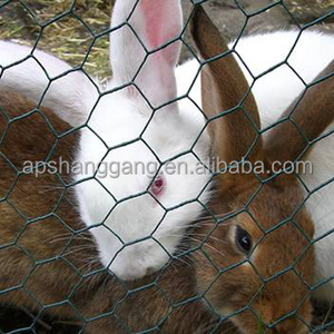 Rete Metallica Esagonale in Acciaio Zincato Rivestito in PVC, Recinzione per Fattoria, Gabbie per Polli, Gabbie per Pollame, Trappole per Pesci - Product Image 1