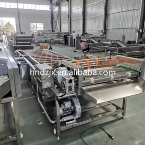 DZJX Ginger <strong>Peeling</strong> <strong>Machine</strong> Oyster Cleaning <strong>Machine</strong> Apple Sea Food Air Bubble Brush Washing and Drying <strong>Machine</strong> for Fruit - Product Image 2